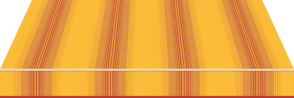 11335_P